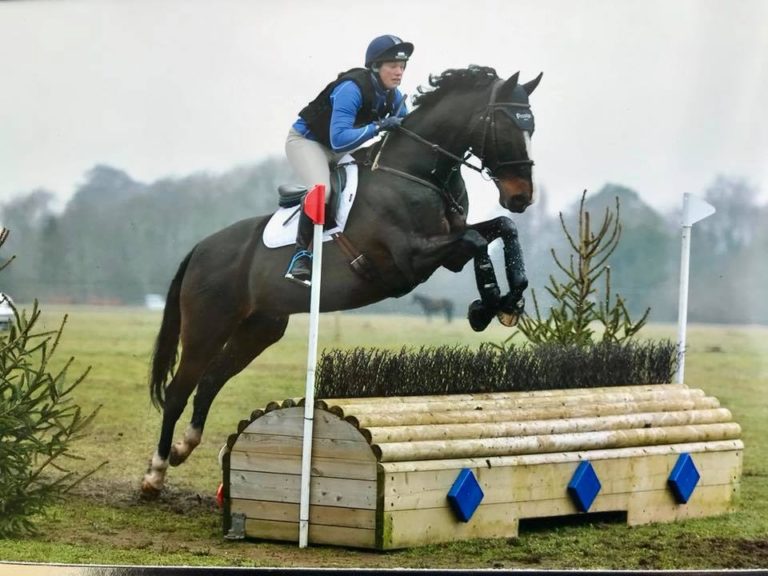 Horse Hair Analysis Mineral Check